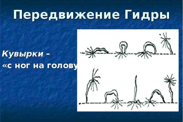 Ссылка кракен kraken torion net