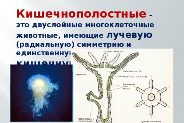 Как сделать заказ на кракен