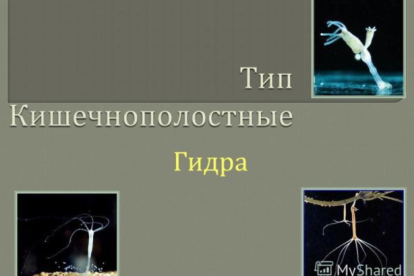 Кракен сайт тор ссылка