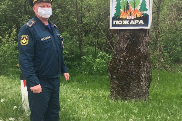Кракен онион рабочая ссылка