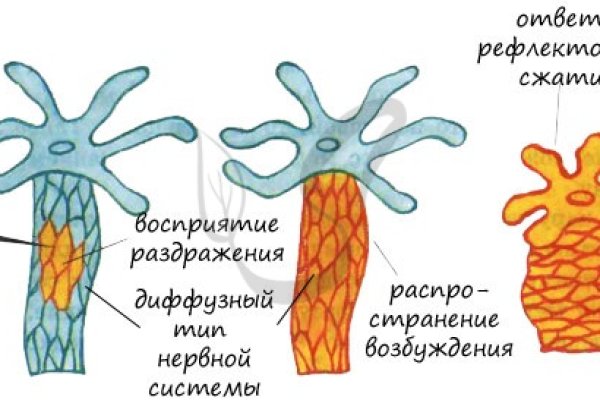 Кракен ссылка тор браузер